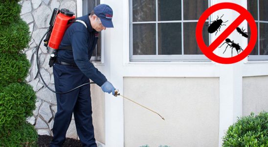 Çardak Bit İlaçlama böcek ilaçlama ve haşere kontrolü — ilaclama-tr.com